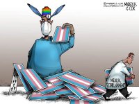 MC-HouseofCards-020526-thm-800x0 (1).jpg