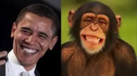 1770571475432.png 1770571475432.png