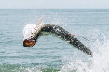 IMG_3755 Medium.jpeg