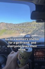 IMG_3741 Medium.jpeg