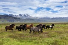 IMG_3799 Medium.jpeg IMG_3799 Medium.jpeg