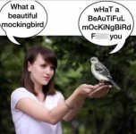 beautiful-mockingbird-beautiful-mockingbird-fuck.jpeg