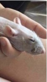 IMG_1829 Small.jpeg IMG_1829 Small.jpeg