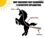 weknowmemes-why-unicorns-fart-rainbows-scientific-explanation-prism-optical-fiber-rainbow.png weknowmemes-why-unicorns-fart-rainbows-scientific-explanation-prism-optical-fiber-rainbow.png