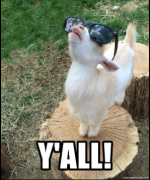 1772063251781.png 1772063251781.png