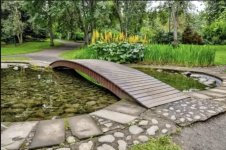 IMG_3865 Medium.jpeg IMG_3865 Medium.jpeg