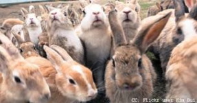 1772477918206.png 1772477918206.png