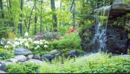 IMG_3880 Medium.jpeg IMG_3880 Medium.jpeg