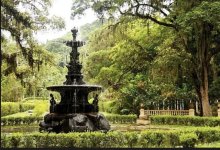 IMG_3885 Medium.jpeg IMG_3885 Medium.jpeg