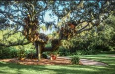 IMG_3887 Medium.jpeg