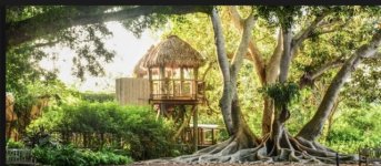 IMG_3890 Medium.jpeg