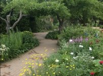 IMG_3895 Medium.jpeg