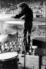 IMG_3907 Medium.jpeg IMG_3907 Medium.jpeg