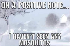 1773610724418.png 1773610724418.png