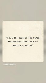 FB_IMG_1773738085328.jpg