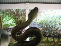 IMG_2729.JPG IMG_2729.JPG