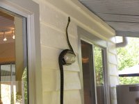 IMG_2734.JPG IMG_2734.JPG