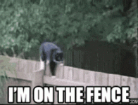 cat-im-on-the-fence.gif