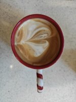 1774989258213.jpeg 1774989258213.jpeg