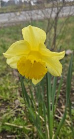 1000031033.jpg 1000031033.jpg