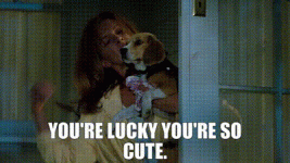 1000004578.gif