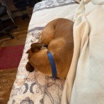 IMG_1282.jpeg