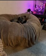 IMG_6002.jpeg