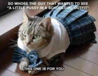 IMG_8850.jpeg