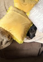 IMG_6069.jpeg