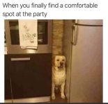6af.jpg