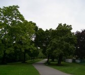 PIC_0243.JPG