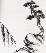 tree and rock.jpg