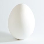 White_chicken_egg_square.jpg