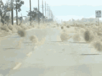 tumbleweed-dust.gif