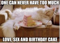 Once-van-never-have-too-much-love-sex-and-birthday-cake-600x434.jpg