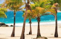 puerto-rico-best-beaches-condado-beach.jpg