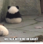 no-talk-with-me-im-angry-makeameme-59158695.png
