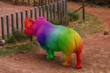 rainbow_rhino__d_by_the_travellers_tale_d2en8n9-fullview.jpg