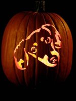 Dachshund Pumpkin.jpg