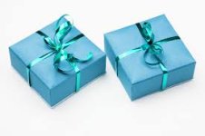 wrapped gift 3.jpg