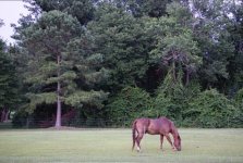 DC86878F-BA4A-4EFC-A49A-F685377FBB68.jpeg DC86878F-BA4A-4EFC-A49A-F685377FBB68.jpeg