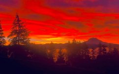 FB_IMG_1673893214267.jpg FB_IMG_1673893214267.jpg