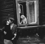 DdTF3TT.jpg DdTF3TT.jpg