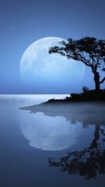 IMG-20190606-WA0001.jpg IMG-20190606-WA0001.jpg