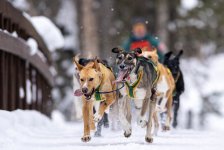 Screen Shot 2023-02-25 at 10.40.18 AM copy.jpg