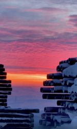 Screen Shot 2023-03-05 at 11.43.09 AM copy.jpg