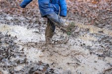 young-children-playing-mud-puddle-muddy-165862558[1].jpg