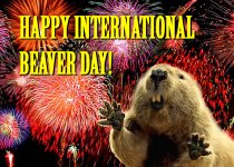 InternationalBeaverDay.jpg