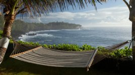 hammock by ocean.jpg