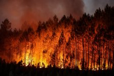 wildfire_thibaud-mortiz-afp-getty-1536x1024.jpg